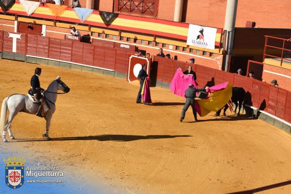 toros y vaquilla ferias 2024-Fuente imagen Area Comunicación Ayuntamiento de Miguelturra-186