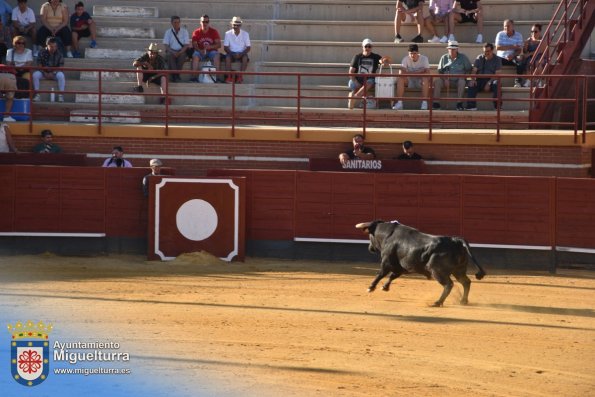 toros y vaquilla ferias 2024-Fuente imagen Area Comunicación Ayuntamiento de Miguelturra-194