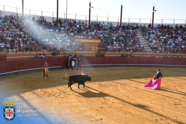 toros y vaquilla ferias 2024-Fuente imagen Area Comunicación Ayuntamiento de Miguelturra-206