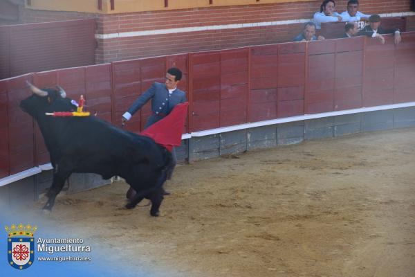 toros y vaquilla ferias 2024-Fuente imagen Area Comunicación Ayuntamiento de Miguelturra-212