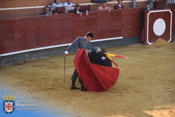 toros y vaquilla ferias 2024-Fuente imagen Area Comunicación Ayuntamiento de Miguelturra-213