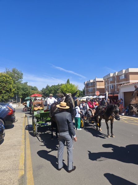 pasacallescaballoferias2025-008