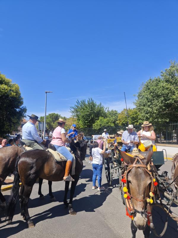 pasacallescaballoferias2025-011