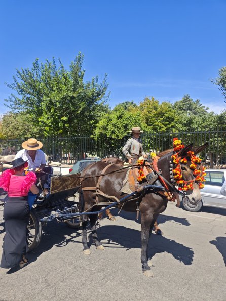 pasacallescaballoferias2025-013