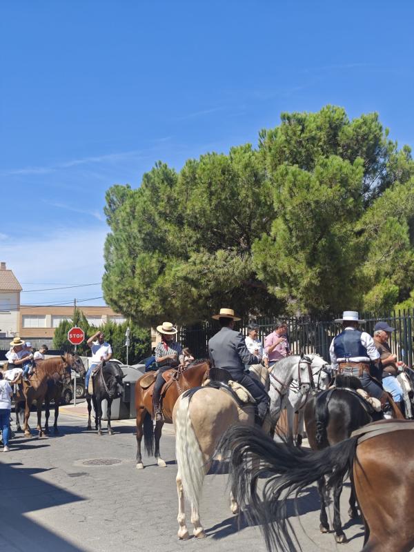 pasacallescaballoferias2025-017