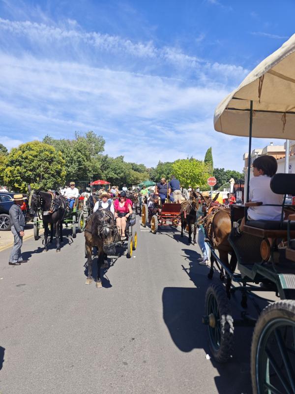 pasacallescaballoferias2025-025