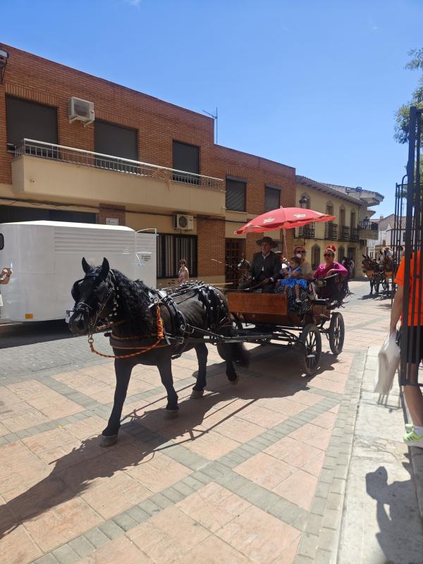 pasacallescaballoferias2025-026