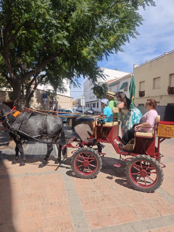 pasacallescaballoferias2025-027