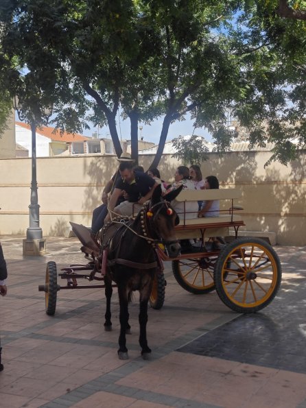 pasacallescaballoferias2025-028