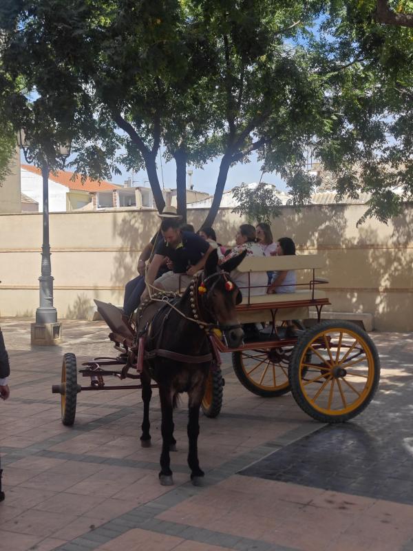 pasacallescaballoferias2025-028