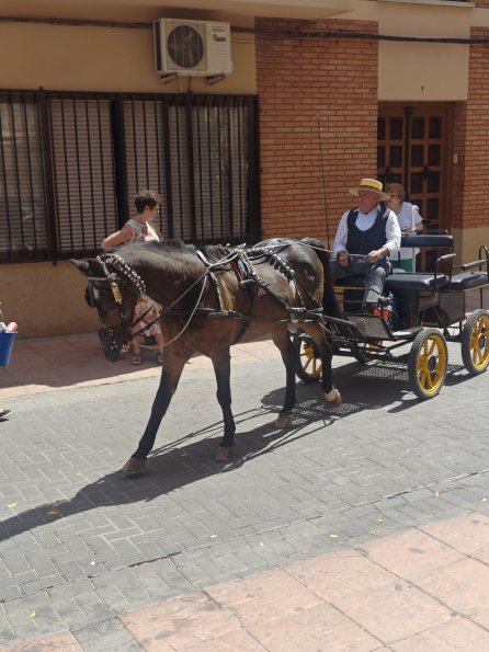 pasacallescaballoferias2025-029