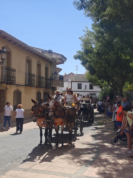 pasacallescaballoferias2025-030