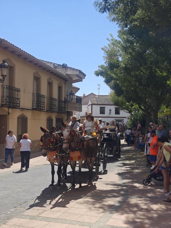 pasacallescaballoferias2025-030