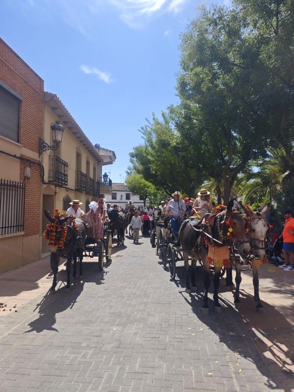 pasacallescaballoferias2025-031