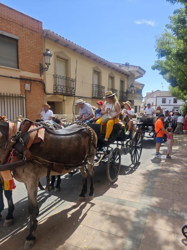 pasacallescaballoferias2025-032