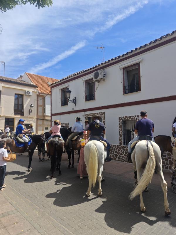 pasacallescaballoferias2025-037