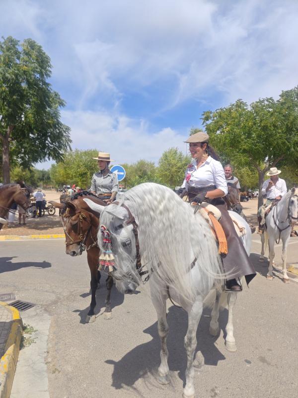 pasacallescaballoferias2025-042