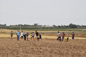 04-carreragalgos