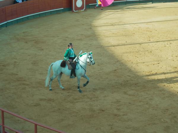 TOROS_10