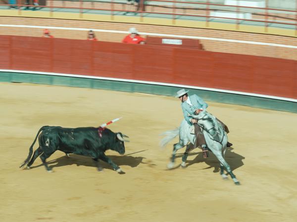 TOROS_14