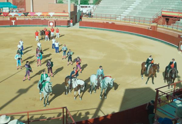 TOROS_15