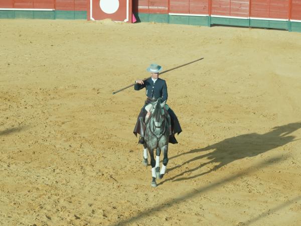 TOROS_3