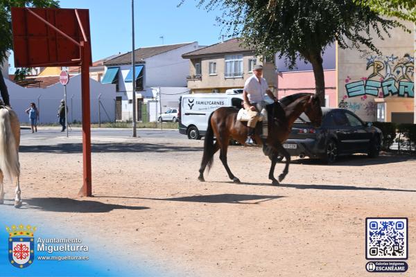 diadelcaballo-ferias2026-Fuente imagen Area Comunicación Ayuntamiento de Miguelturra-021
