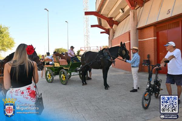 diadelcaballo-ferias2026-Fuente imagen Area Comunicación Ayuntamiento de Miguelturra-027