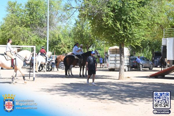 diadelcaballo-ferias2026-Fuente imagen Area Comunicación Ayuntamiento de Miguelturra-036