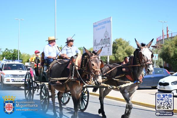 diadelcaballo-ferias2026-Fuente imagen Area Comunicación Ayuntamiento de Miguelturra-064