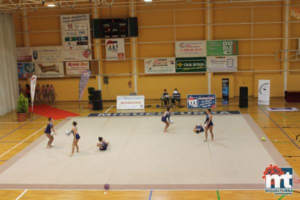 Campeonato Provincial Deporte Edad Escolar de Gimnasia Ritmica-2018-05-13-Fuente imagen Area de Deportes Ayuntamiento Miguelturra-001