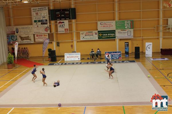 Campeonato Provincial Deporte Edad Escolar de Gimnasia Ritmica-2018-05-13-Fuente imagen Area de Deportes Ayuntamiento Miguelturra-002