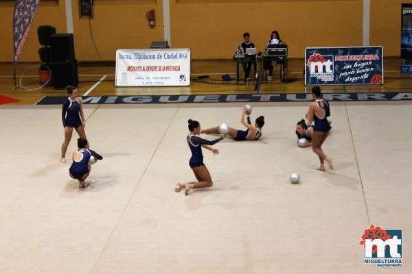 Campeonato Provincial Deporte Edad Escolar de Gimnasia Ritmica-2018-05-13-Fuente imagen Area de Deportes Ayuntamiento Miguelturra-003