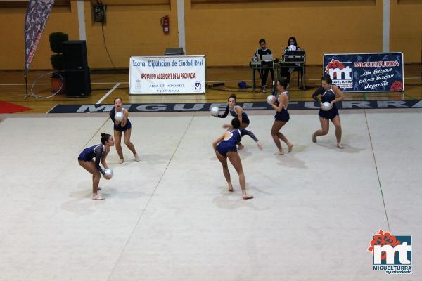 Campeonato Provincial Deporte Edad Escolar de Gimnasia Ritmica-2018-05-13-Fuente imagen Area de Deportes Ayuntamiento Miguelturra-004