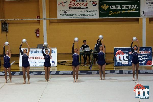 Campeonato Provincial Deporte Edad Escolar de Gimnasia Ritmica-2018-05-13-Fuente imagen Area de Deportes Ayuntamiento Miguelturra-005