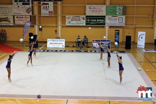 Campeonato Provincial Deporte Edad Escolar de Gimnasia Ritmica-2018-05-13-Fuente imagen Area de Deportes Ayuntamiento Miguelturra-006