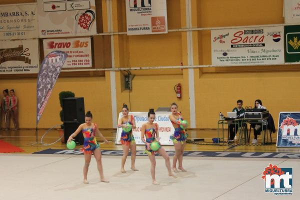 Campeonato Provincial Deporte Edad Escolar de Gimnasia Ritmica-2018-05-13-Fuente imagen Area de Deportes Ayuntamiento Miguelturra-009