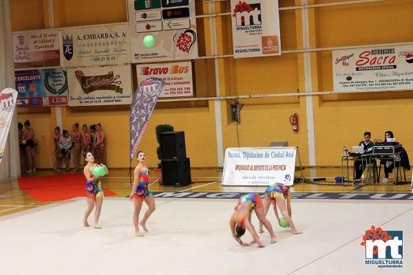 Campeonato Provincial Deporte Edad Escolar de Gimnasia Ritmica-2018-05-13-Fuente imagen Area de Deportes Ayuntamiento Miguelturra-010