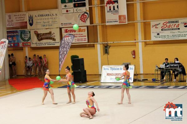 Campeonato Provincial Deporte Edad Escolar de Gimnasia Ritmica-2018-05-13-Fuente imagen Area de Deportes Ayuntamiento Miguelturra-011