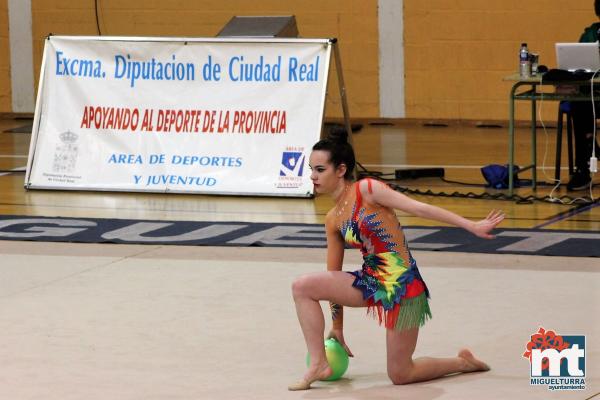 Campeonato Provincial Deporte Edad Escolar de Gimnasia Ritmica-2018-05-13-Fuente imagen Area de Deportes Ayuntamiento Miguelturra-012