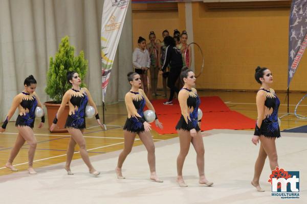 Campeonato Provincial Deporte Edad Escolar de Gimnasia Ritmica-2018-05-13-Fuente imagen Area de Deportes Ayuntamiento Miguelturra-018