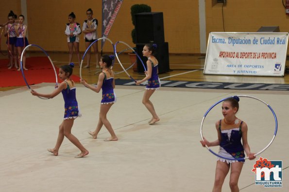 Campeonato Provincial Deporte Edad Escolar de Gimnasia Ritmica-2018-05-13-Fuente imagen Area de Deportes Ayuntamiento Miguelturra-027