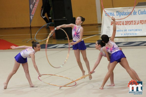 Campeonato Provincial Deporte Edad Escolar de Gimnasia Ritmica-2018-05-13-Fuente imagen Area de Deportes Ayuntamiento Miguelturra-030