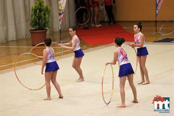 Campeonato Provincial Deporte Edad Escolar de Gimnasia Ritmica-2018-05-13-Fuente imagen Area de Deportes Ayuntamiento Miguelturra-031