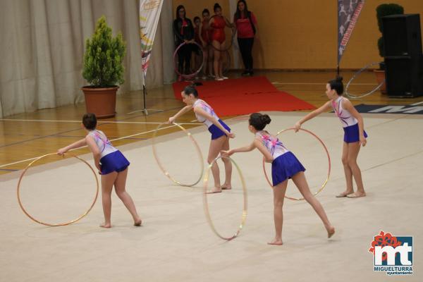 Campeonato Provincial Deporte Edad Escolar de Gimnasia Ritmica-2018-05-13-Fuente imagen Area de Deportes Ayuntamiento Miguelturra-032