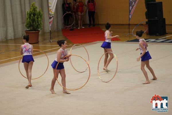 Campeonato Provincial Deporte Edad Escolar de Gimnasia Ritmica-2018-05-13-Fuente imagen Area de Deportes Ayuntamiento Miguelturra-033