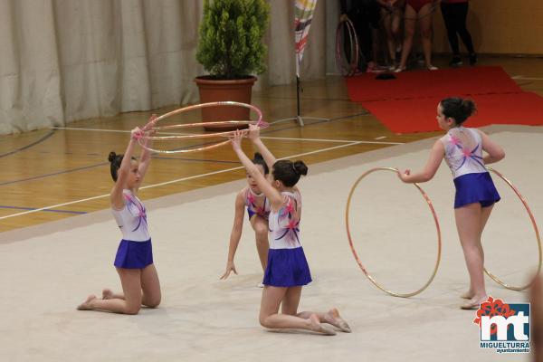 Campeonato Provincial Deporte Edad Escolar de Gimnasia Ritmica-2018-05-13-Fuente imagen Area de Deportes Ayuntamiento Miguelturra-034