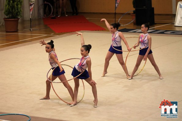 Campeonato Provincial Deporte Edad Escolar de Gimnasia Ritmica-2018-05-13-Fuente imagen Area de Deportes Ayuntamiento Miguelturra-035