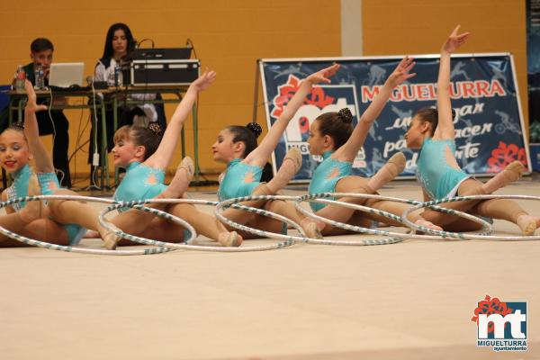 Campeonato Provincial Deporte Edad Escolar de Gimnasia Ritmica-2018-05-13-Fuente imagen Area de Deportes Ayuntamiento Miguelturra-052