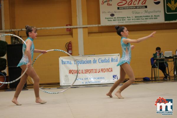 Campeonato Provincial Deporte Edad Escolar de Gimnasia Ritmica-2018-05-13-Fuente imagen Area de Deportes Ayuntamiento Miguelturra-055